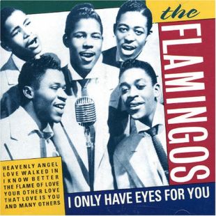 The Flamingos of the late 1950s shown on the cover of a 1997 CD featuring a compilation of 18 of their songs. Click for CD.