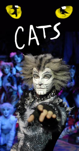 Promotional photo for "Cats" production.