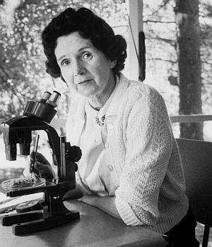 1962: Rachel Carson with microscope on porch at her home in Silver Spring, Maryland.