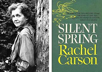 Rachel Carson shown here in a 1950s photograph alongside the cover of her landmark 1962 book, “Silent Spring,” Houghton Mifflin hardback.