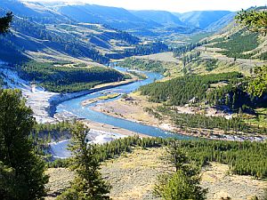 The Yellowstone River as viewed in Yellowstone National Park at the tamer northern end of the Grand Canyon of the Yellowstone River.