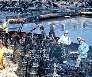 1969: Santa Barbara clean-up crews “pitchforking” oil-soaked hay from corralled oil spill in harbor area. Photo, Bob Duncan.