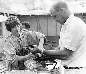 1969: Volunteers working to save oiled sea bird following Santa Barbara spill. Telegram-Tribune, San Luis Obispo.
