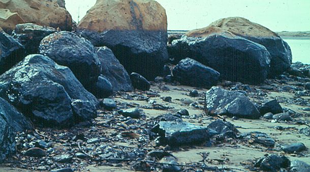 1969: Oil-stained coastal rocks in the Santa Barbara area following the January 1969 blow out  at Union Oil’s offshore oil rig vividly show resulting oil pollution left behind once the tide has receded.  Marvin Moore photo. 