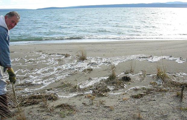 Chuck Hutterli of Nipigon, Ontario (shown at left) has been cleaning up recurring tidal deposits of white nurdle pellets off the Lake Superior beach near his home for more than a decade, not far from where a 2008 Canadian Pacific train derailment spilled them into Lake Superior. “Yep, they’re still coming,” said Hutterli in 2021 of the nurdle beach deposits [especially after windstorms]. “It’s aggravating as hell.” (Courtesy photo / MLive.com)